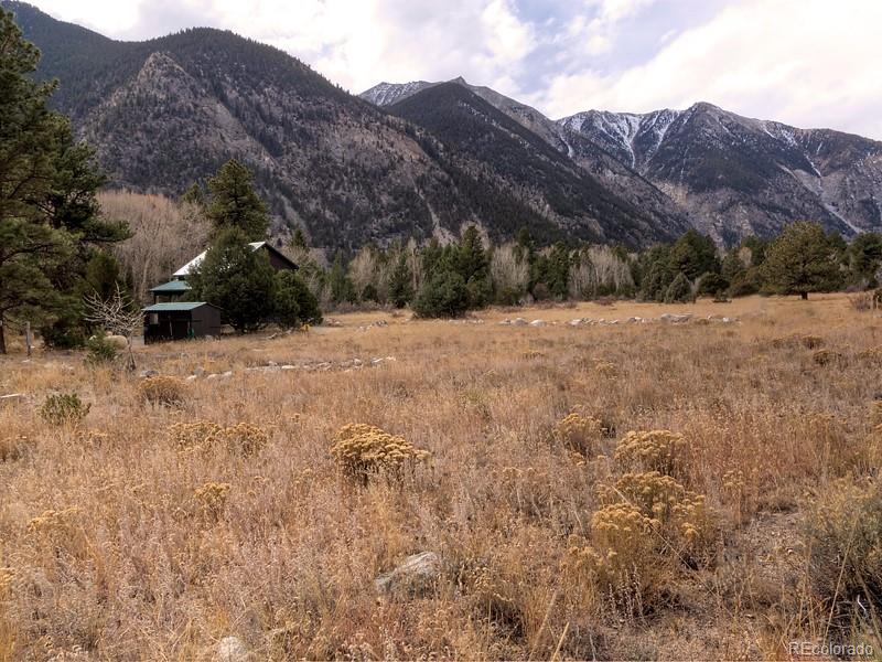 18957 County Road 162 Nathrop CO 81236