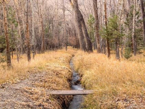 18957 County Road 162 Nathrop CO 81236
