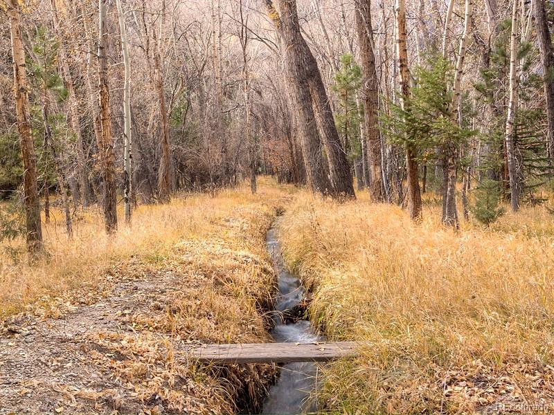 18957 County Road 162 Nathrop CO 81236