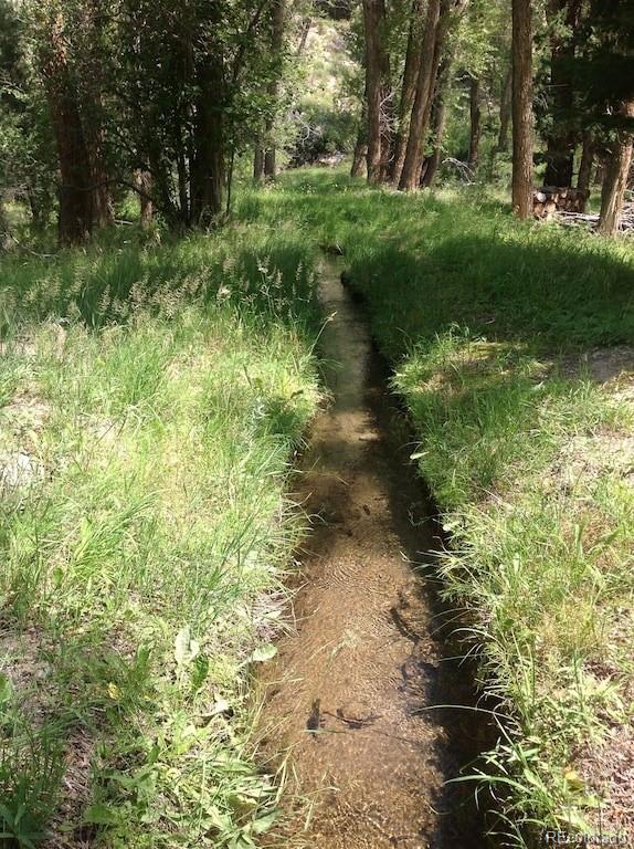 18957 County Road 162 Nathrop CO 81236