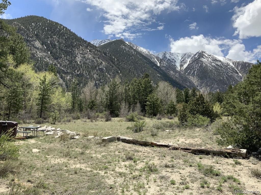 18957 County Road 162 Nathrop CO 81236