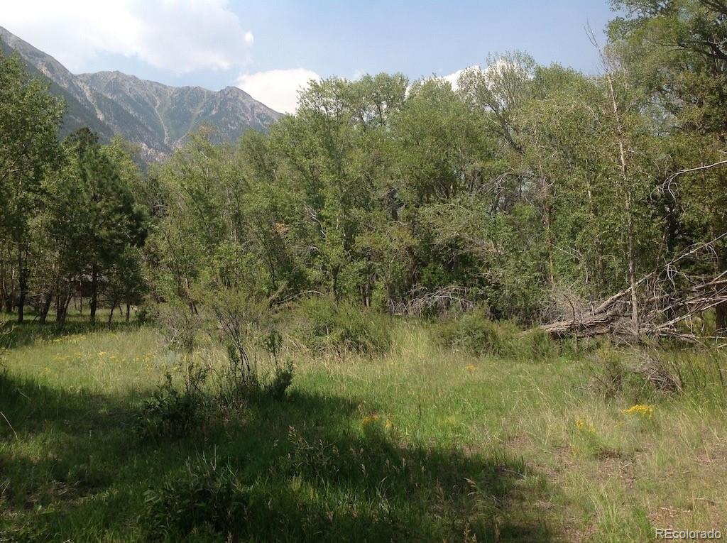 18957 County Road 162 Nathrop CO 81236