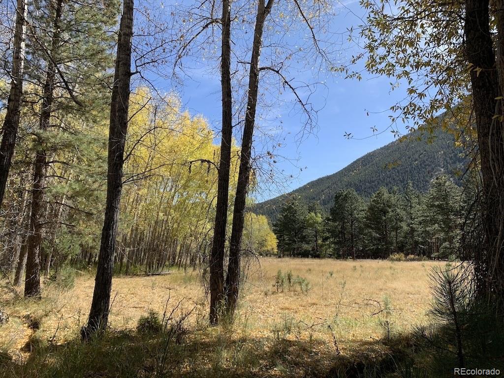 18957 County Road 162 Nathrop CO 81236