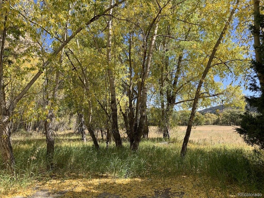 18957 County Road 162 Nathrop CO 81236