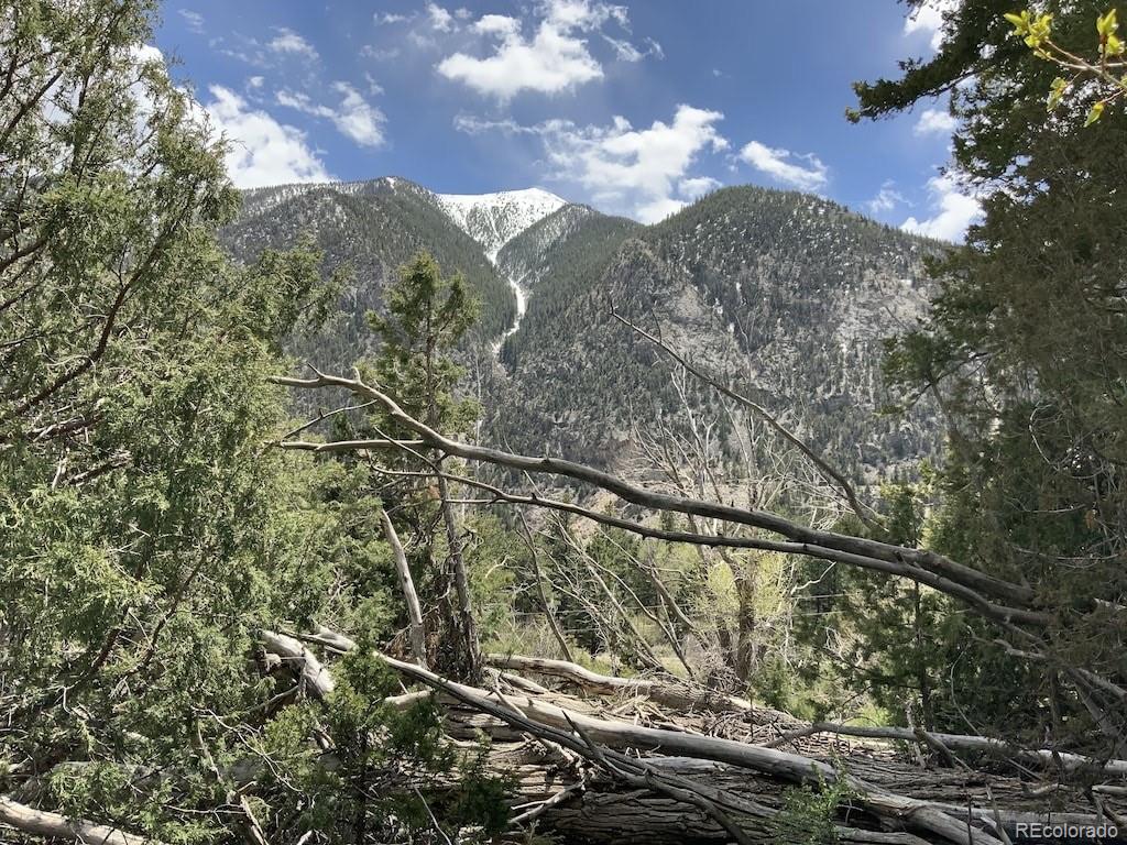 18957 County Road 162 Nathrop CO 81236
