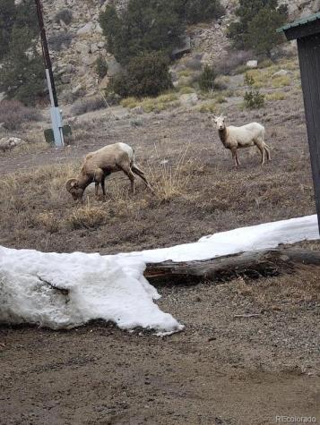18957 County Road 162 Nathrop CO 81236