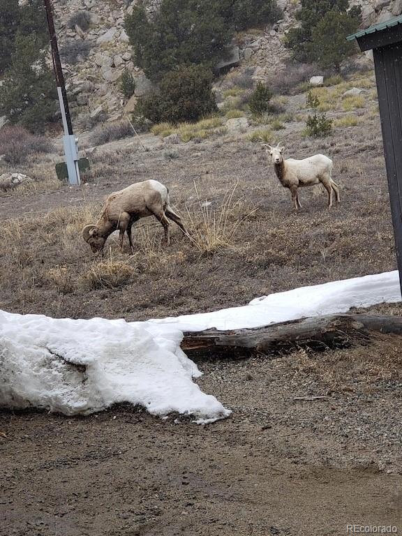 18957 County Road 162 Nathrop CO 81236