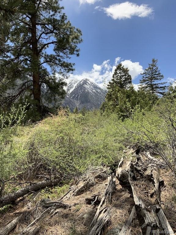 18957 County Road 162 Nathrop CO 81236