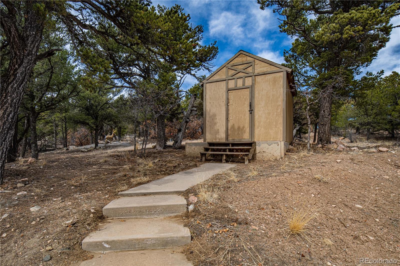 45 Knight Lane Cotopaxi CO 81223