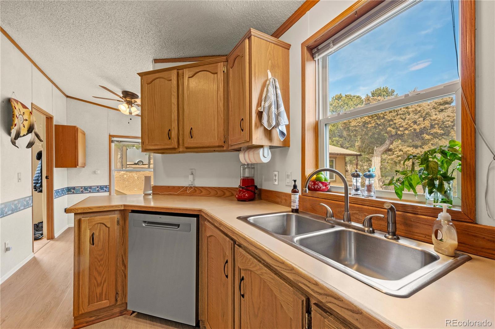45 Knight Lane Cotopaxi CO 81223