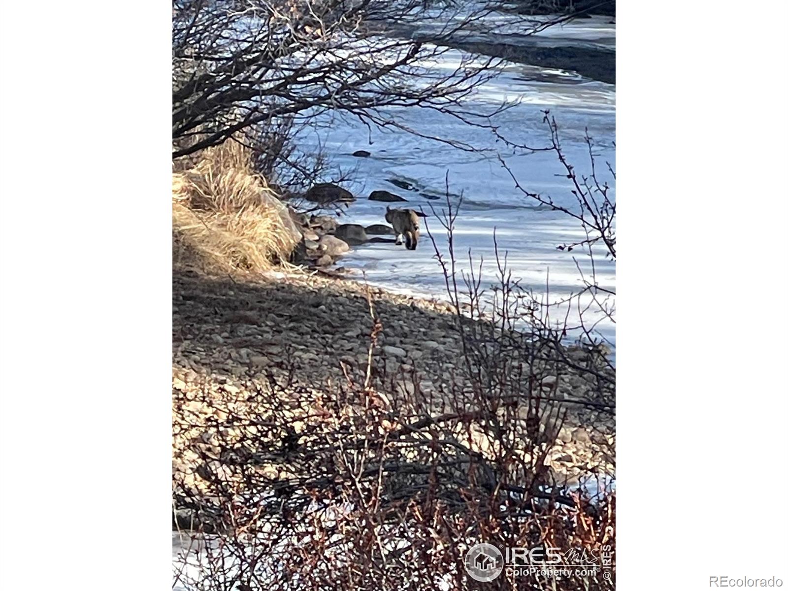 1475 Lower Broadview Road Estes Park CO 80517