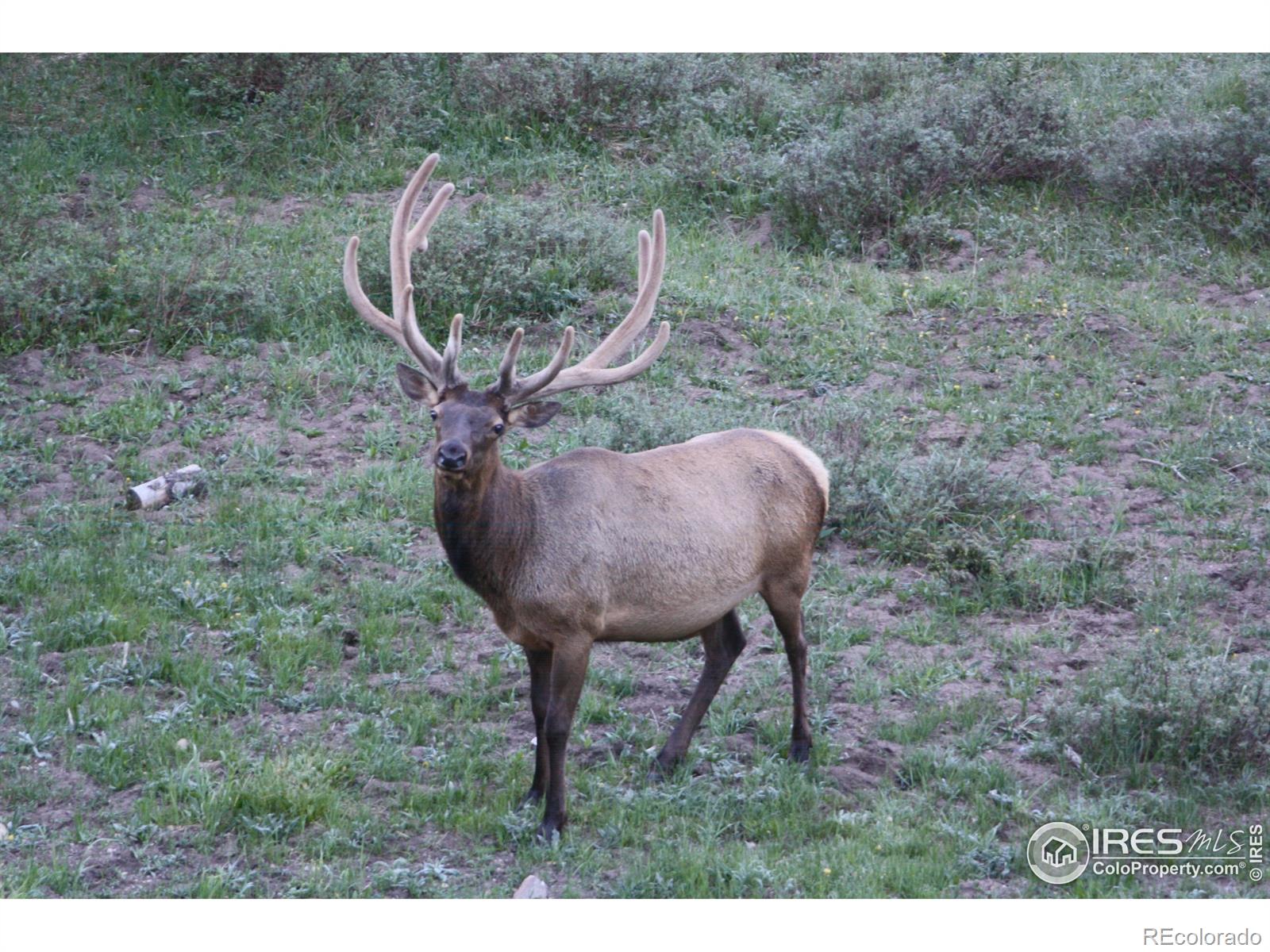 1475 Lower Broadview Road Estes Park CO 80517