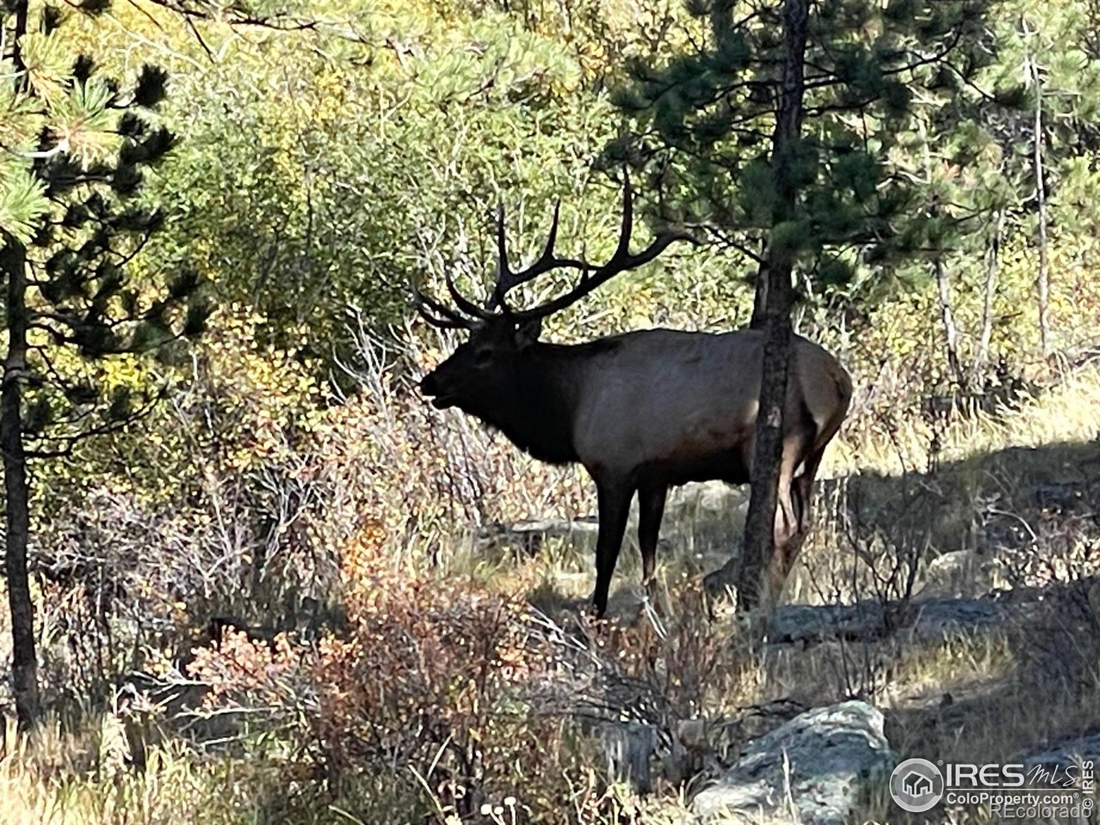 1475 Lower Broadview Road Estes Park CO 80517