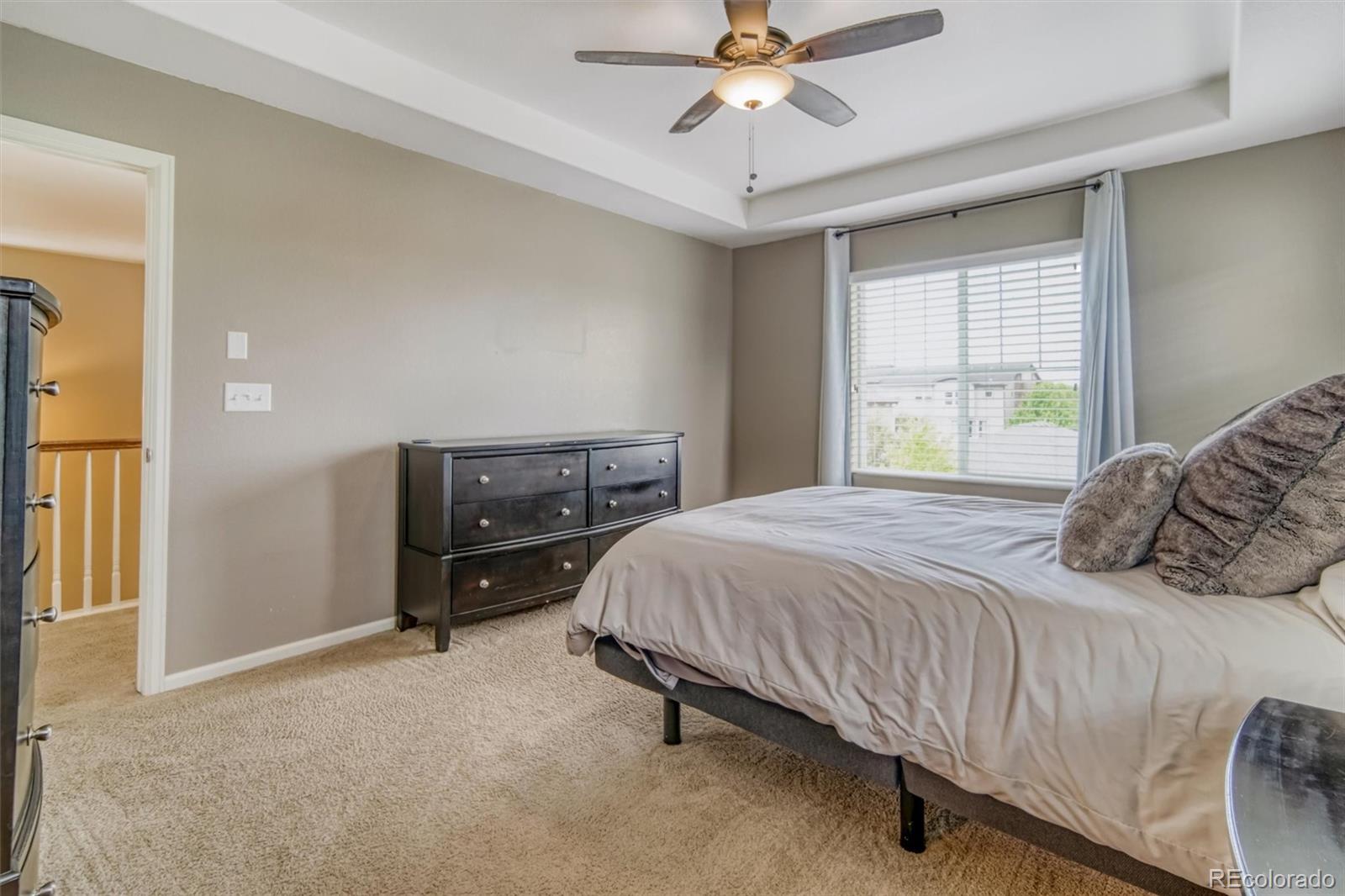 3810 Cadence Drive Castle Rock CO 80109