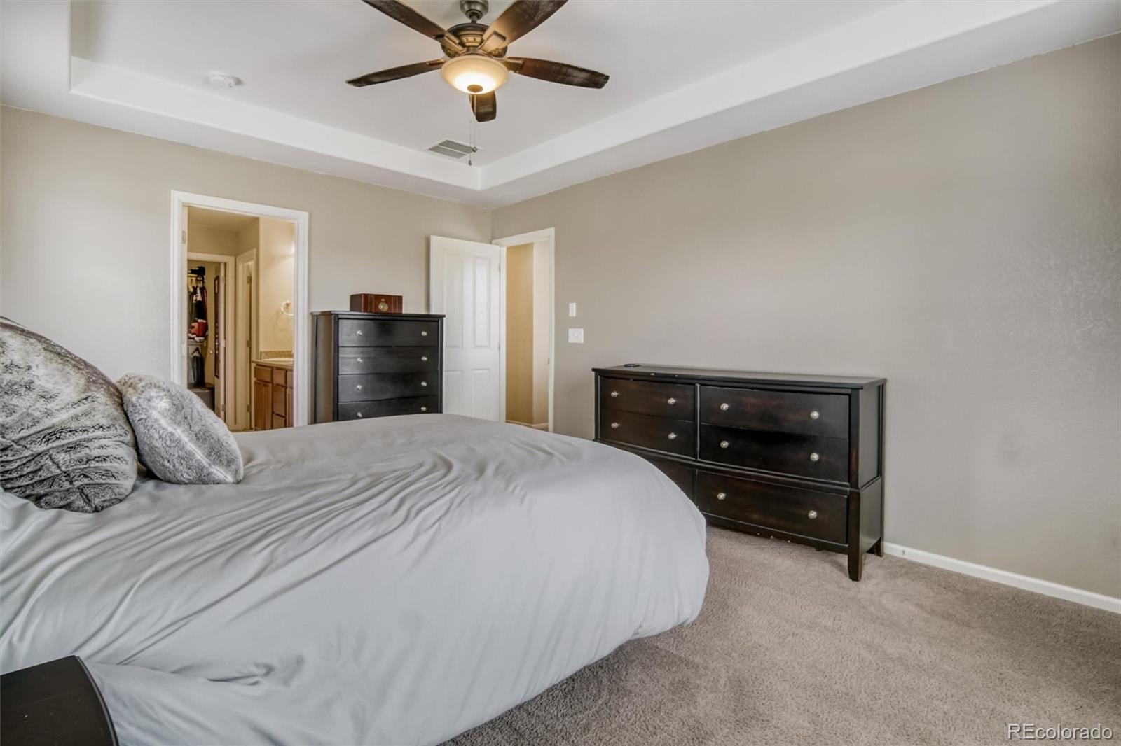 3810 Cadence Drive Castle Rock CO 80109