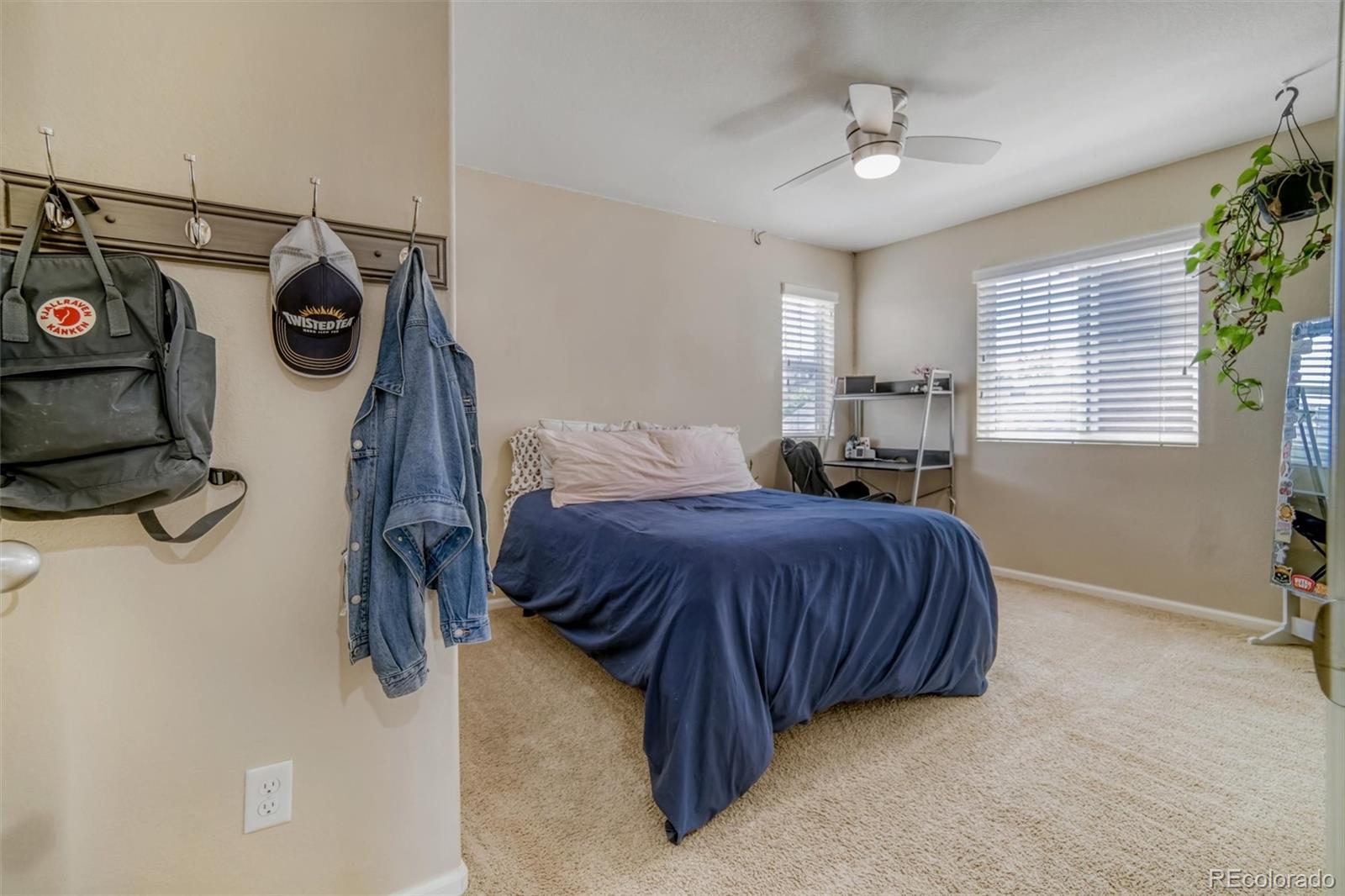 3810 Cadence Drive Castle Rock CO 80109