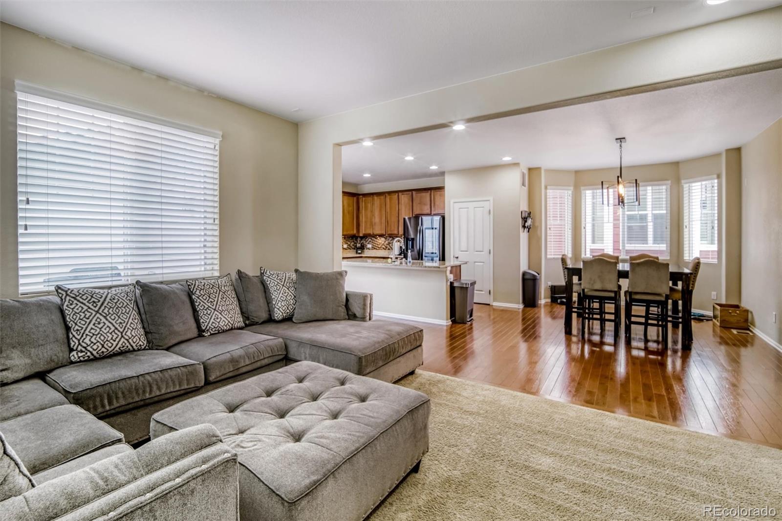 3810 Cadence Drive Castle Rock CO 80109