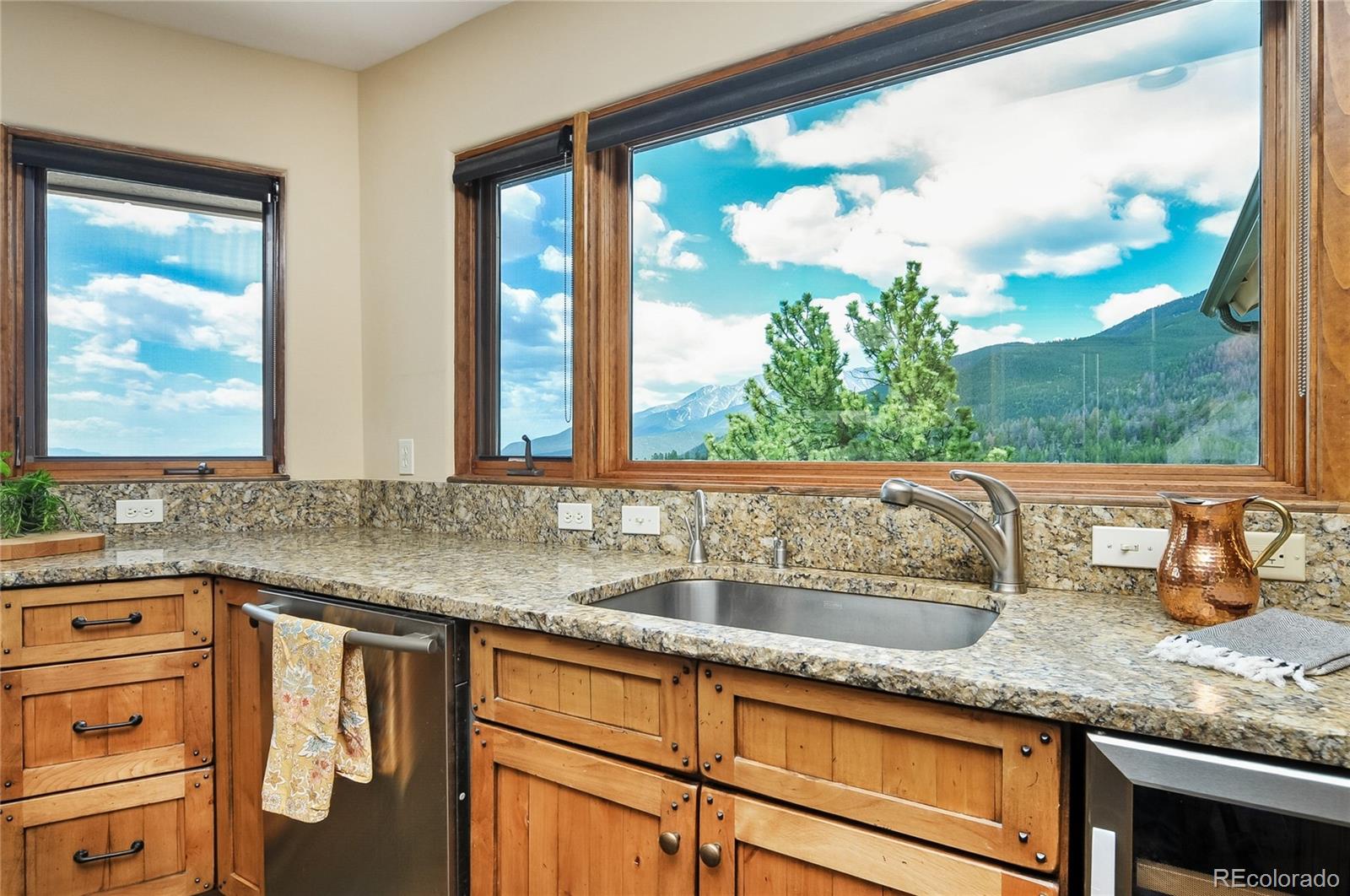 30043 Creek Run Buena Vista CO 81211