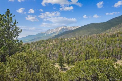 30043 Creek Run Buena Vista CO 81211