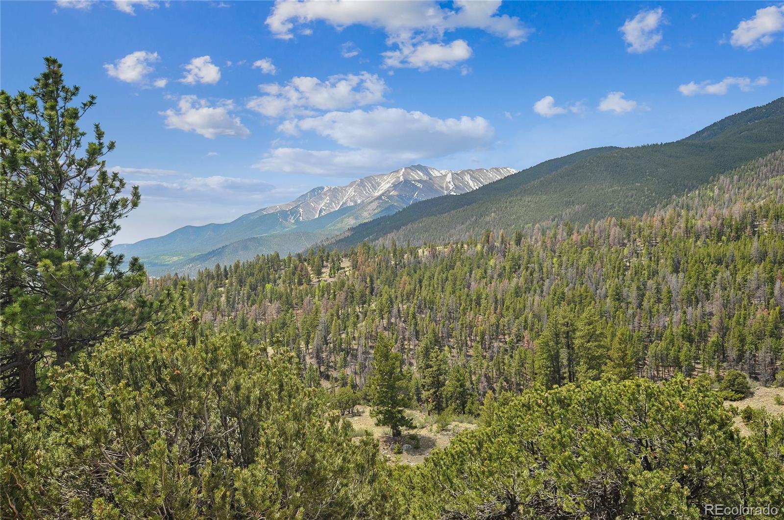 30043 Creek Run Buena Vista CO 81211