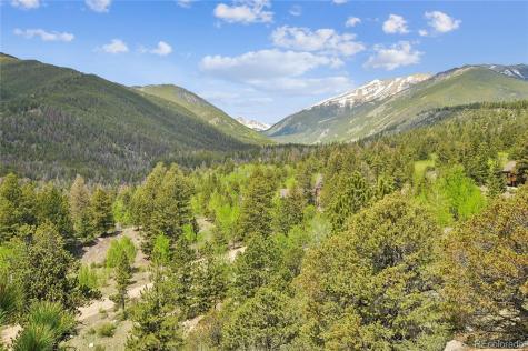 30043 Creek Run Buena Vista CO 81211