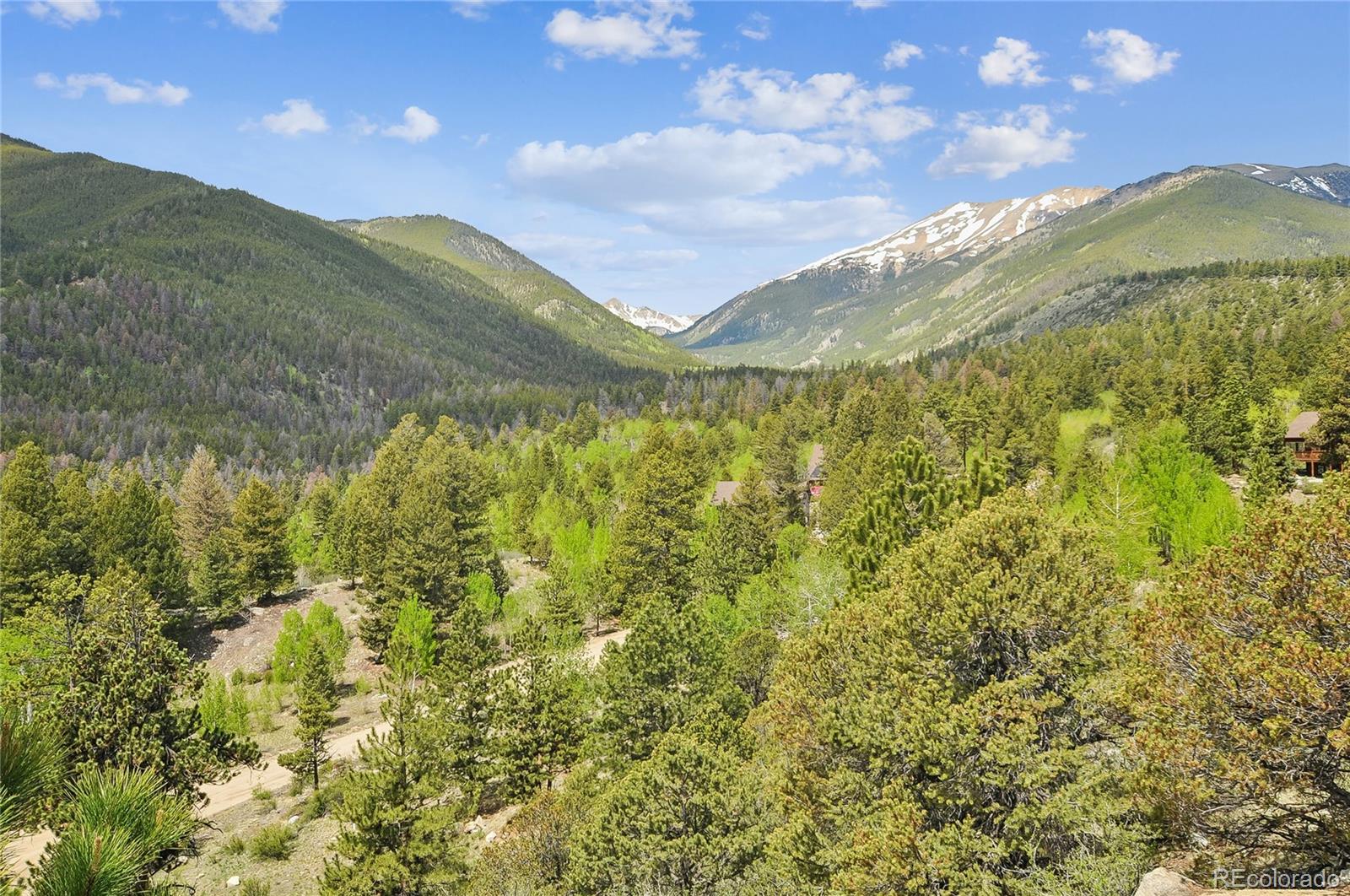 30043 Creek Run Buena Vista CO 81211