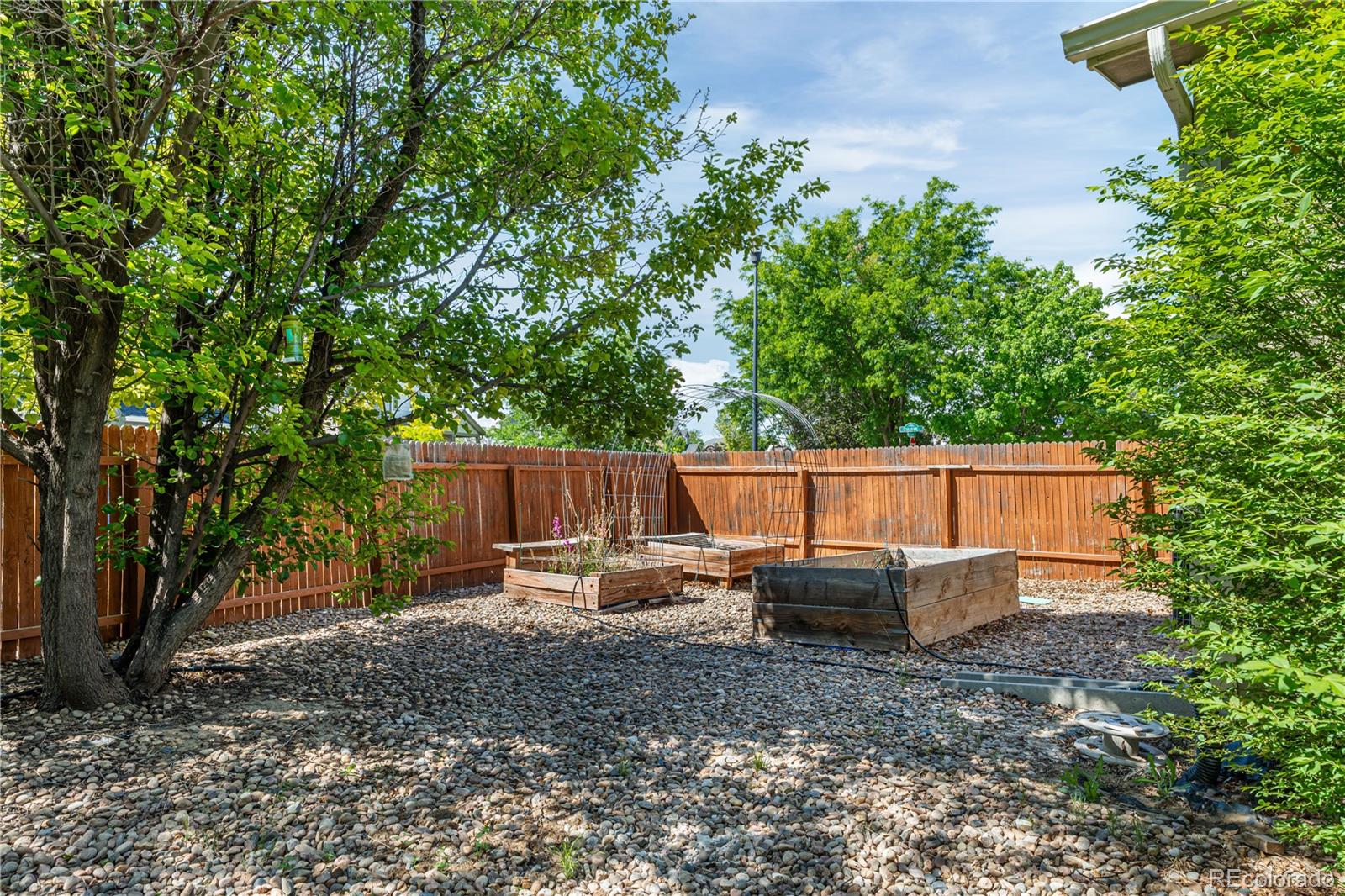 6161 Clayton Street Frederick CO 80530