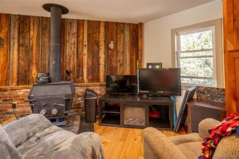 16695 County Road 162 Nathrop CO 81236