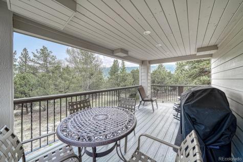 16695 County Road 162 Nathrop CO 81236