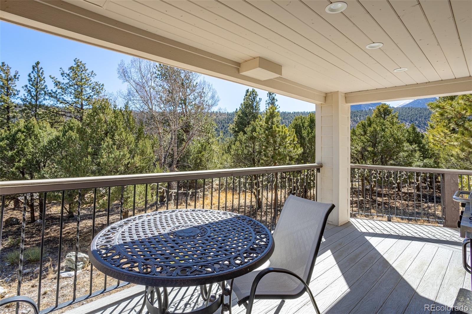 16695 County Road 162 Nathrop CO 81236
