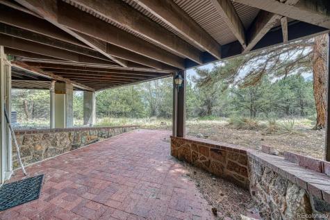 16695 County Road 162 Nathrop CO 81236