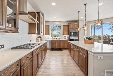 16231 Thunder Cat Way Monument CO 80132