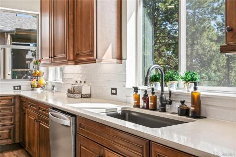 16231 Thunder Cat Way Monument CO 80132