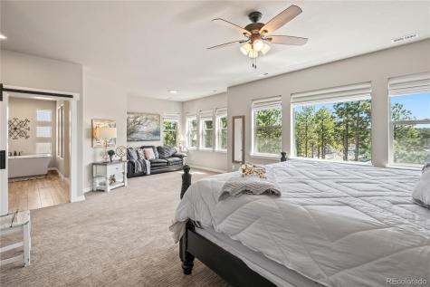 16231 Thunder Cat Way Monument CO 80132