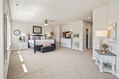 16231 Thunder Cat Way Monument CO 80132