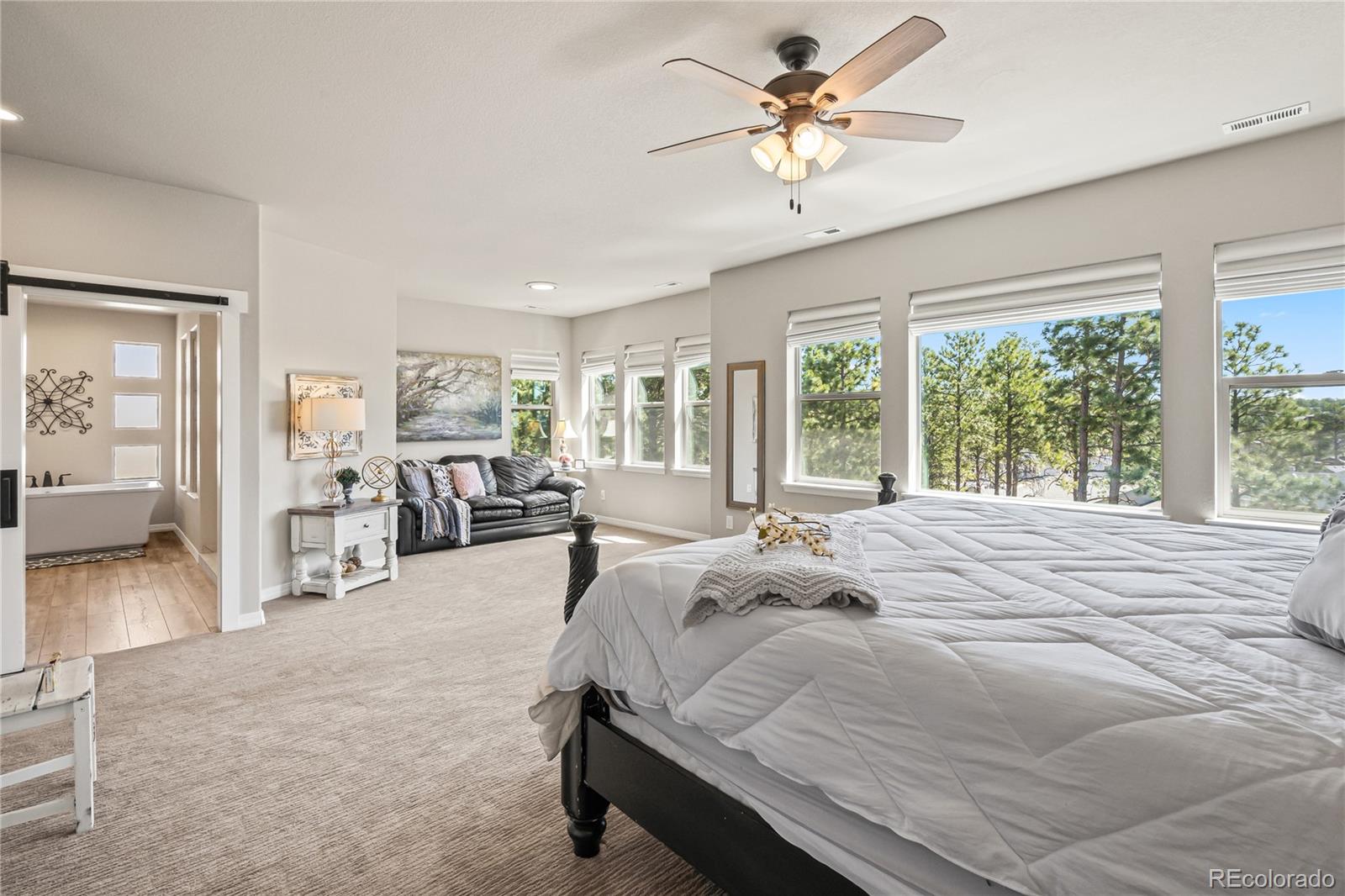 16231 Thunder Cat Way Monument CO 80132