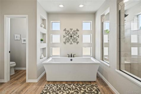 16231 Thunder Cat Way Monument CO 80132