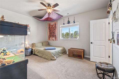 16231 Thunder Cat Way Monument CO 80132