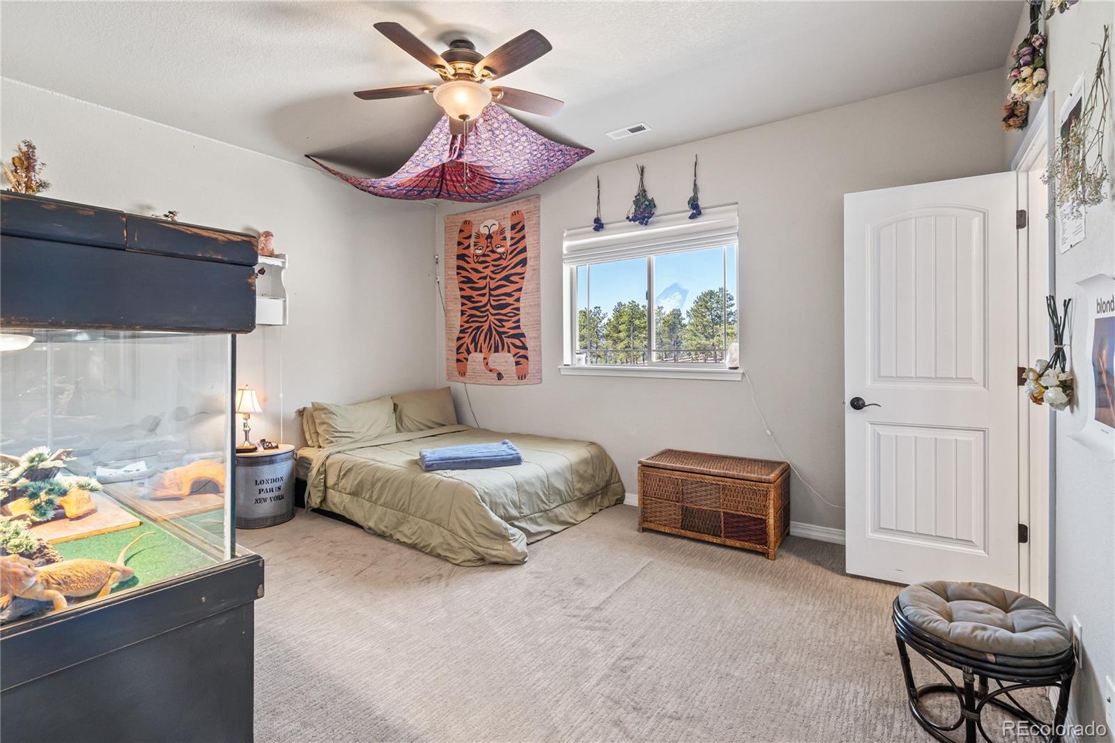 16231 Thunder Cat Way Monument CO 80132
