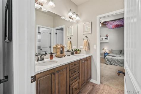 16231 Thunder Cat Way Monument CO 80132