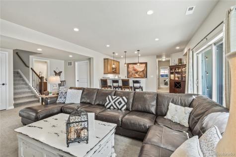 16231 Thunder Cat Way Monument CO 80132