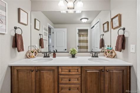 16231 Thunder Cat Way Monument CO 80132