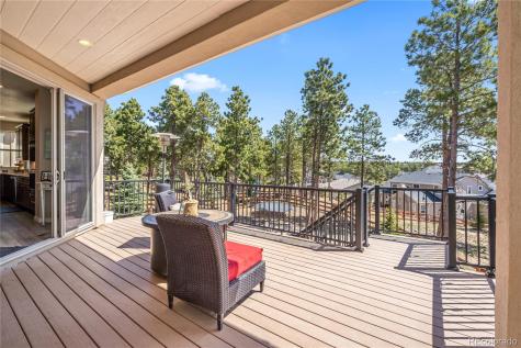 16231 Thunder Cat Way Monument CO 80132