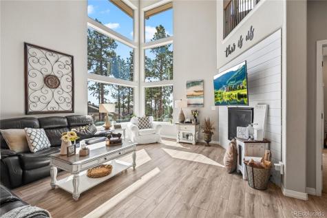 16231 Thunder Cat Way Monument CO 80132