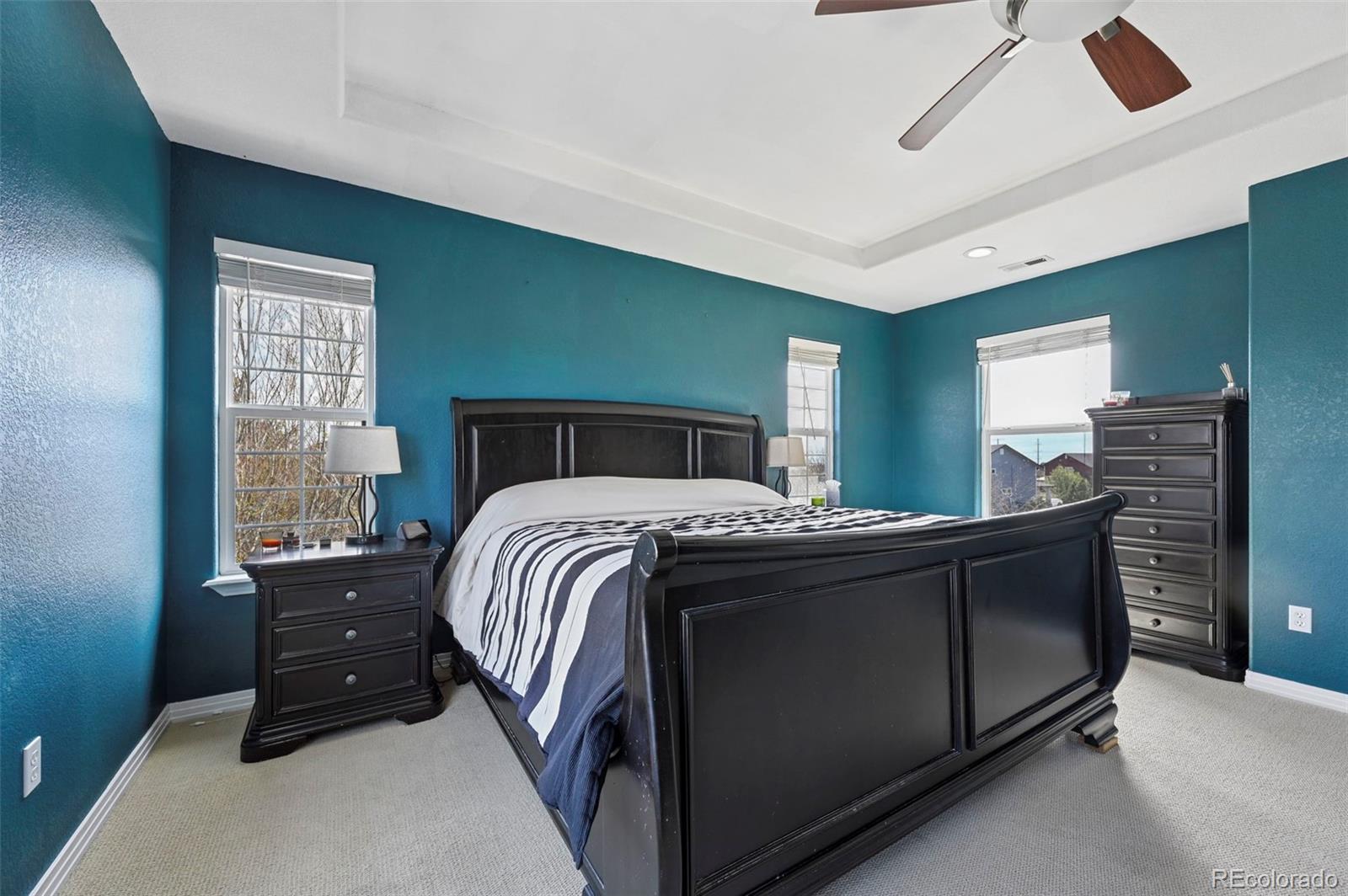 7334 Talimena Terrace Peyton CO 80831