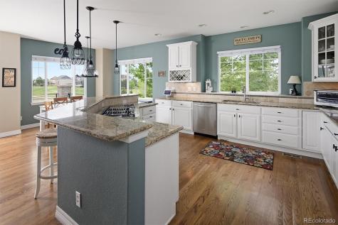 8231 S Shady Grove Court Aurora CO 80016