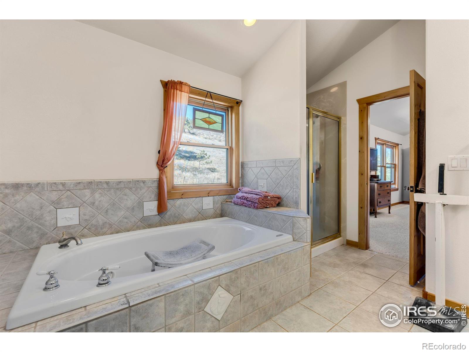 196 Mule Deer Drive Loveland CO 80537