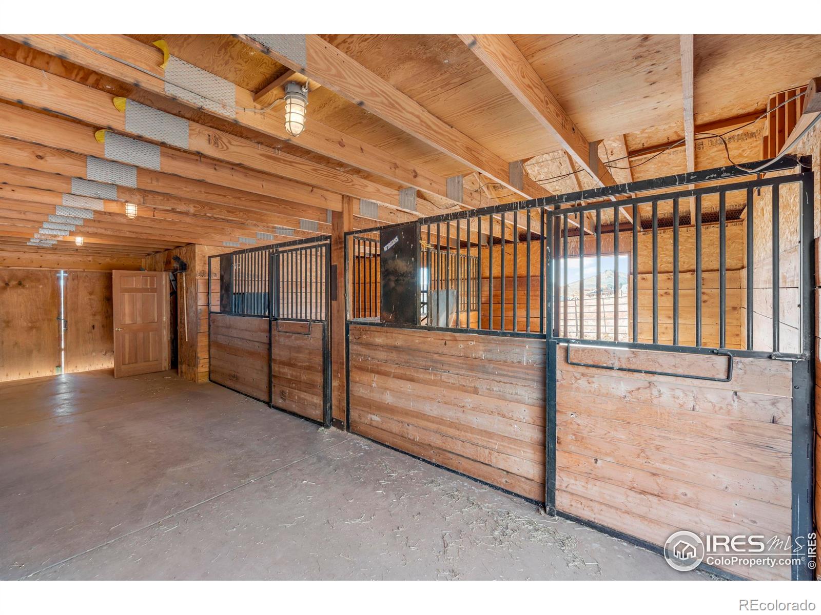 196 Mule Deer Drive Loveland CO 80537