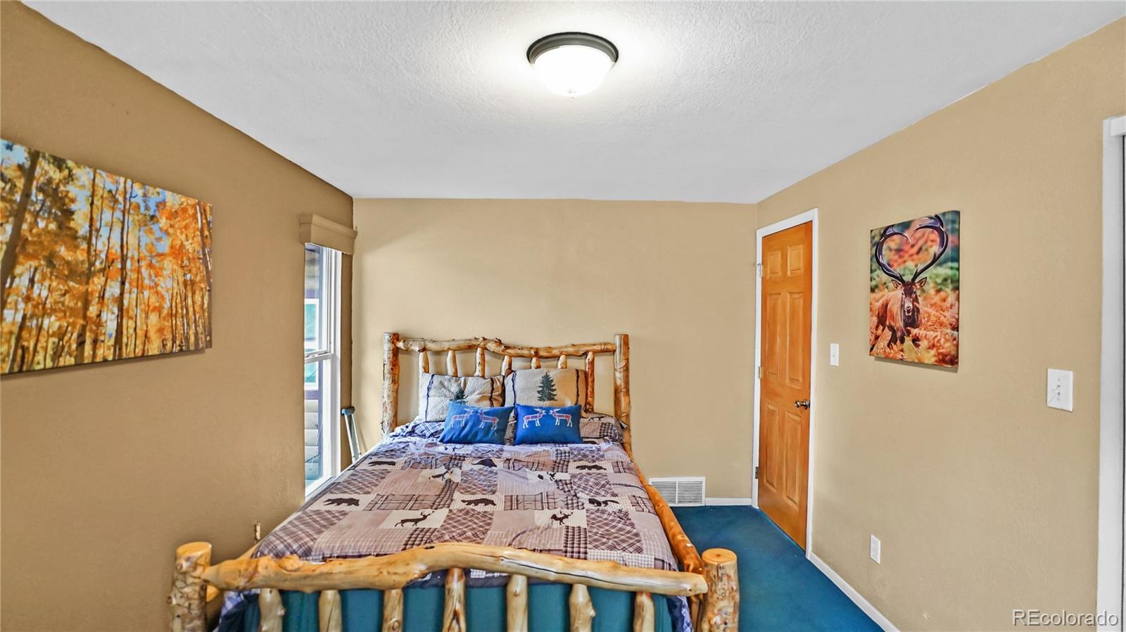 67 Holdup Street Bailey CO 80421