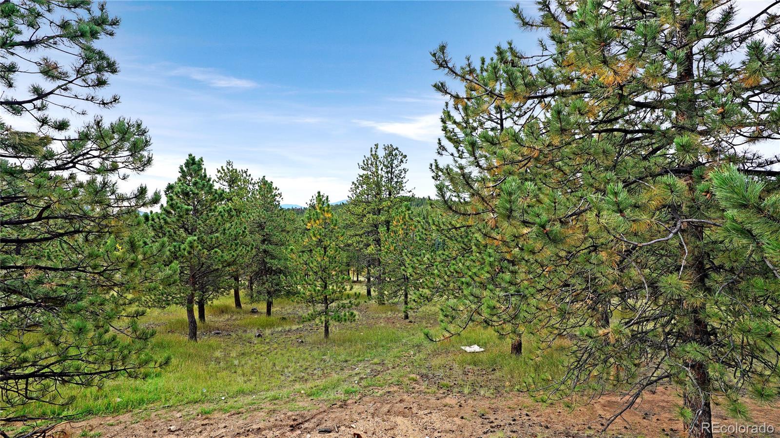 67 Holdup Street Bailey CO 80421